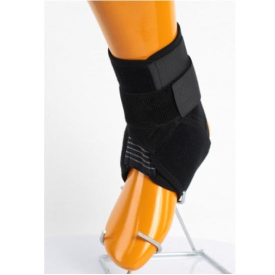 Ankle Support