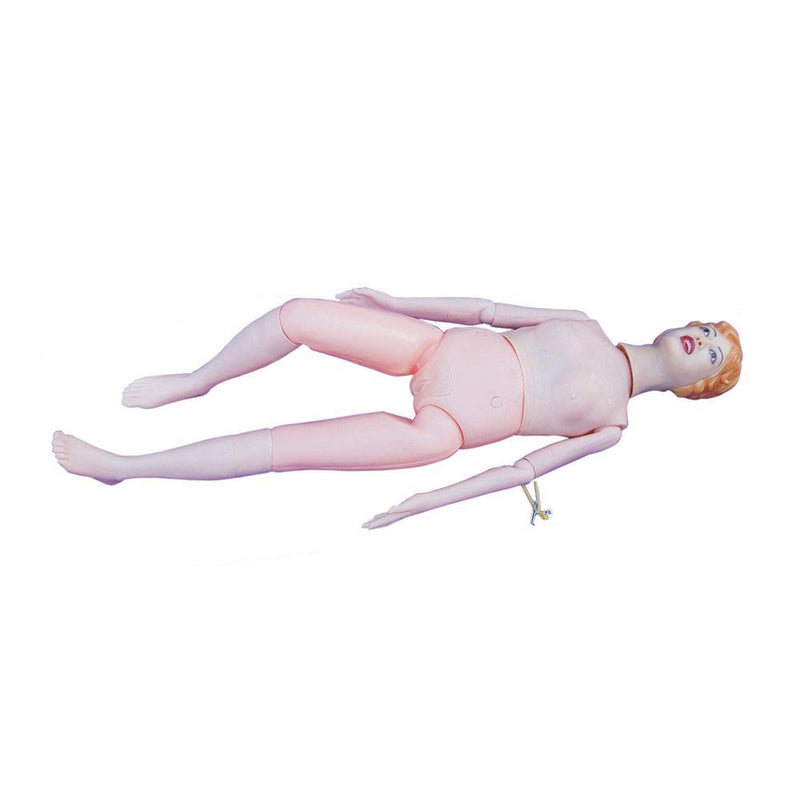 Female Manikin