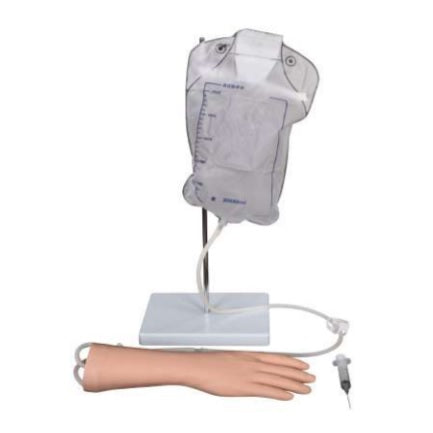 IV Injection Training Model